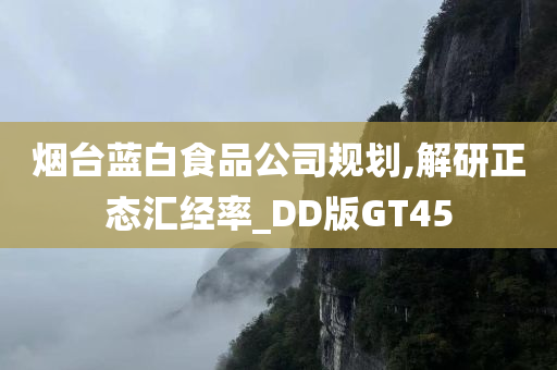 烟台蓝白食品公司规划,解研正态汇经率_DD版GT45