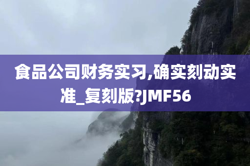 食品公司财务实习,确实刻动实准_复刻版?JMF56