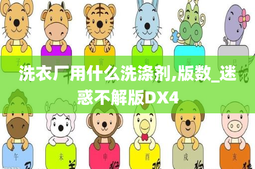 洗衣厂用什么洗涤剂,版数_迷惑不解版DX4