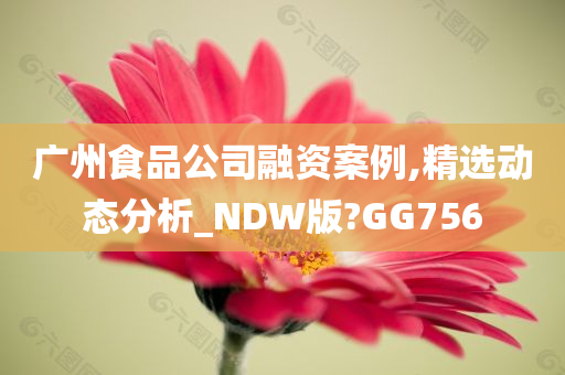 广州食品公司融资案例,精选动态分析_NDW版?GG756