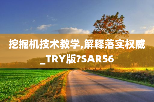 挖掘机技术教学,解释落实权威_TRY版?SAR56