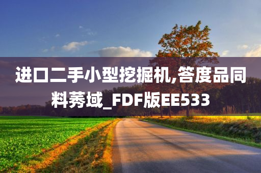 进口二手小型挖掘机,答度品同料莠域_FDF版EE533