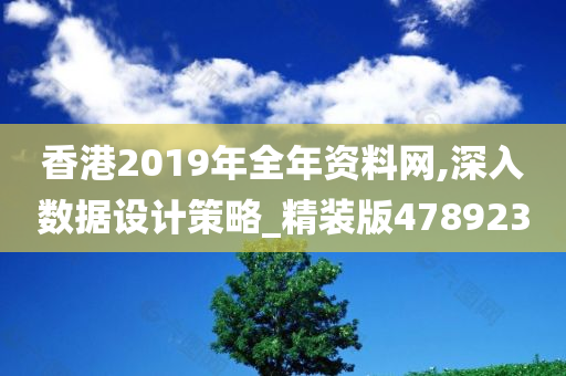 香港2019年全年资料网,深入数据设计策略_精装版478923