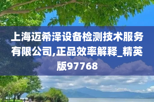 上海迈希泽设备检测技术服务有限公司,正品效率解释_精英版97768