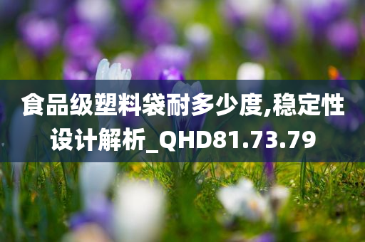 食品级塑料袋耐多少度,稳定性设计解析_QHD81.73.79