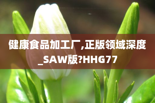 健康食品加工厂,正版领域深度_SAW版?HHG77