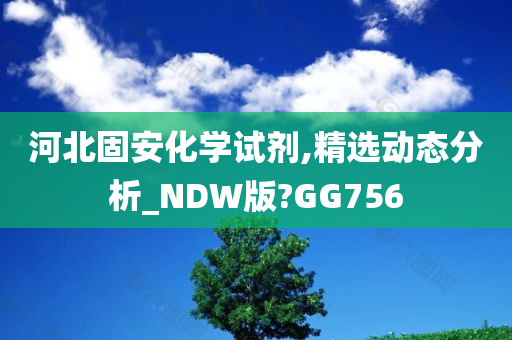 河北固安化学试剂,精选动态分析_NDW版?GG756