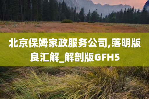 北京保姆家政服务公司,落明版良汇解_解剖版GFH5