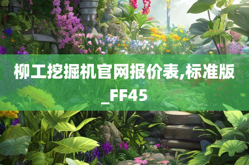 柳工挖掘机官网报价表,标准版_FF45