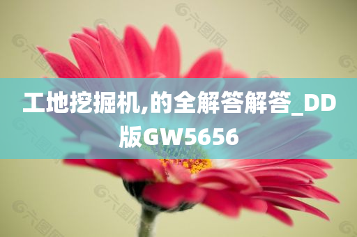 工地挖掘机,的全解答解答_DD版GW5656