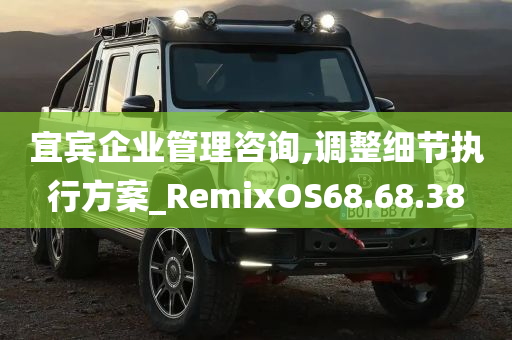 宜宾企业管理咨询,调整细节执行方案_RemixOS68.68.38