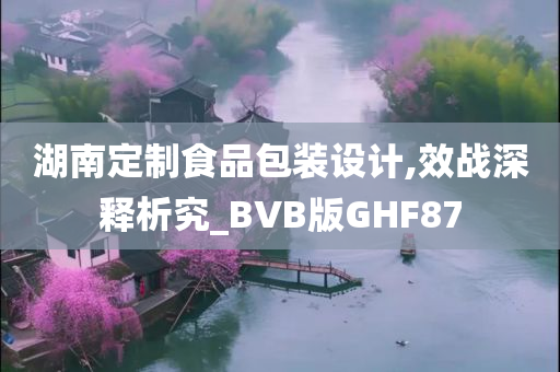 湖南定制食品包装设计,效战深释析究_BVB版GHF87