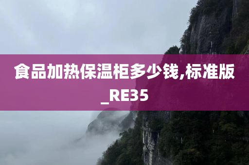 食品加热保温柜多少钱,标准版_RE35