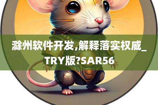 滁州软件开发,解释落实权威_TRY版?SAR56