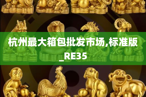 杭州最大箱包批发市场,标准版_RE35