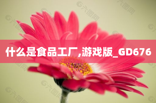 什么是食品工厂,游戏版_GD676