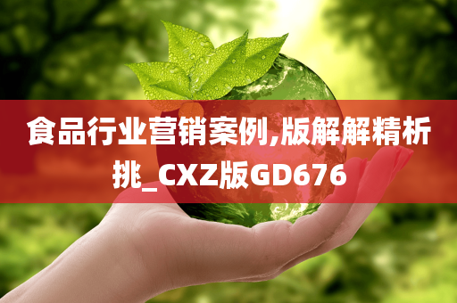 食品行业营销案例,版解解精析挑_CXZ版GD676