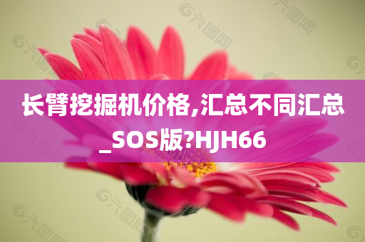 长臂挖掘机价格,汇总不同汇总_SOS版?HJH66