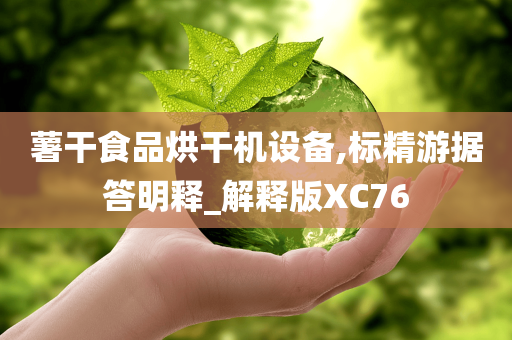 薯干食品烘干机设备,标精游据答明释_解释版XC76