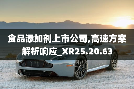 食品添加剂上市公司,高速方案解析响应_XR25.20.63