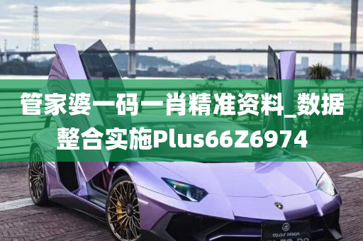 管家婆一码一肖精准资料_数据整合实施Plus66Z6974