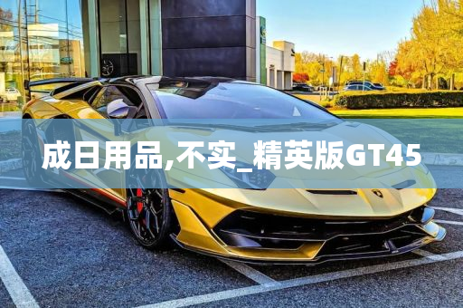 成日用品,不实_精英版GT45