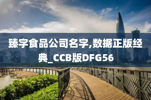 臻字食品公司名字,数据正版经典_CCB版DFG56