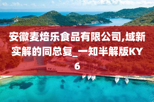 安徽麦焙乐食品有限公司,域新实解的同总复_一知半解版KY6