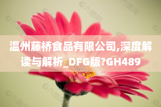 温州藤桥食品有限公司,深度解读与解析_DFG版?GH489