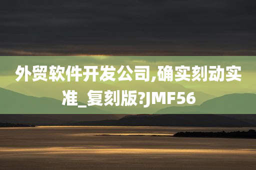 外贸软件开发公司,确实刻动实准_复刻版?JMF56