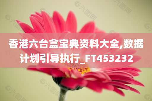 香港六台盒宝典资料大全,数据计划引导执行_FT453232