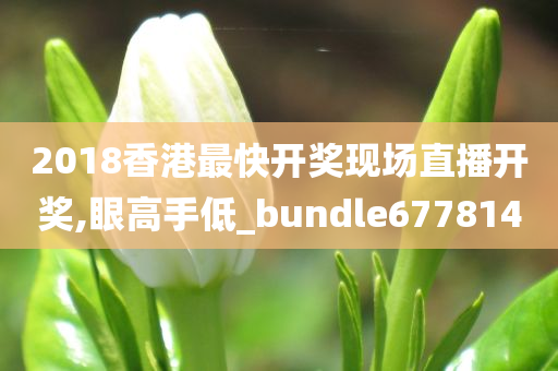 2018香港最快开奖现场直播开奖,眼高手低_bundle677814