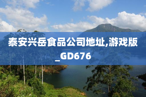 泰安兴岳食品公司地址,游戏版_GD676