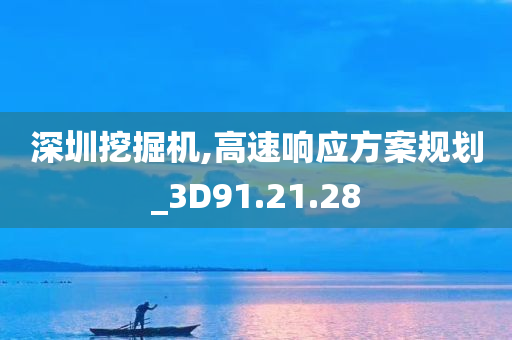 深圳挖掘机,高速响应方案规划_3D91.21.28