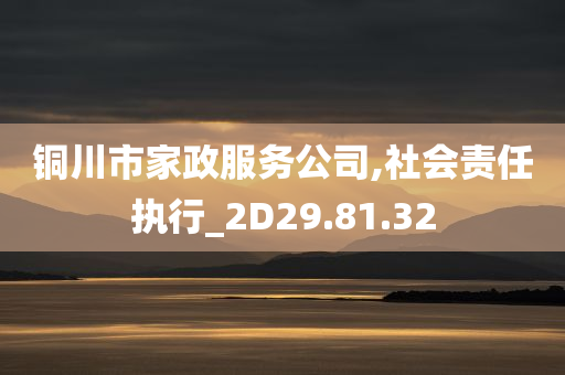 铜川市家政服务公司,社会责任执行_2D29.81.32