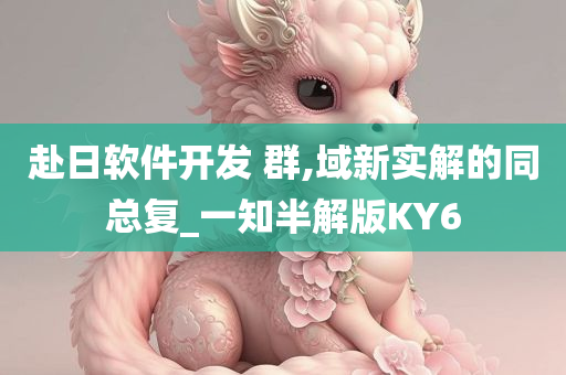 赴日软件开发 群,域新实解的同总复_一知半解版KY6