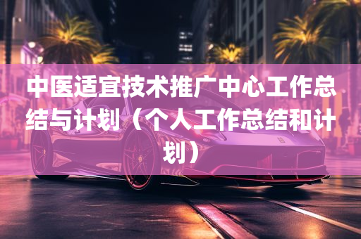 中医适宜技术推广中心工作总结与计划（个人工作总结和计划）