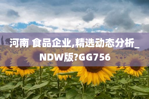 河南 食品企业,精选动态分析_NDW版?GG756