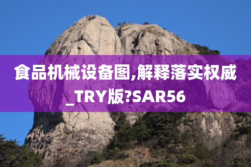 食品机械设备图,解释落实权威_TRY版?SAR56