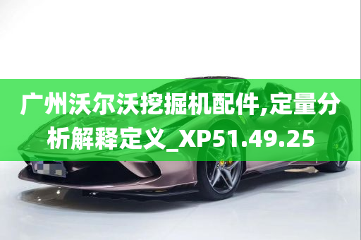 广州沃尔沃挖掘机配件,定量分析解释定义_XP51.49.25