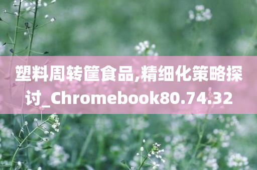 塑料周转筐食品,精细化策略探讨_Chromebook80.74.32