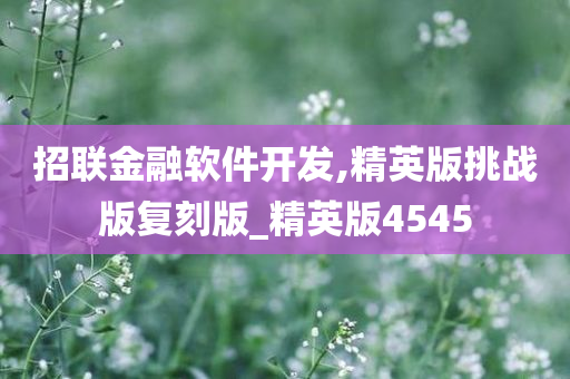 招联金融软件开发,精英版挑战版复刻版_精英版4545