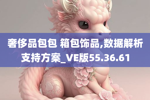 奢侈品包包 箱包饰品,数据解析支持方案_VE版55.36.61