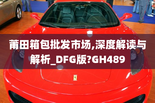 莆田箱包批发市场,深度解读与解析_DFG版?GH489