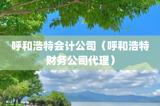 呼和浩特会计公司（呼和浩特财务公司代理）