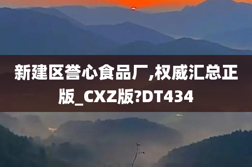 新建区誉心食品厂,权威汇总正版_CXZ版?DT434