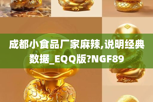 成都小食品厂家麻辣,说明经典数据_EQQ版?NGF89