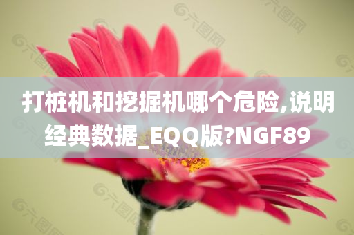 打桩机和挖掘机哪个危险,说明经典数据_EQQ版?NGF89