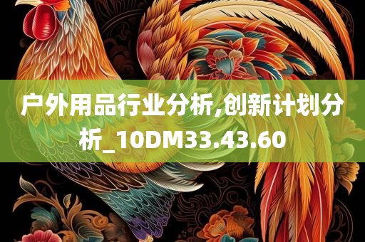 户外用品行业分析,创新计划分析_10DM33.43.60