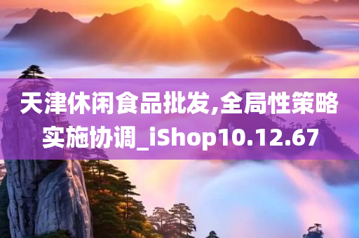 天津休闲食品批发,全局性策略实施协调_iShop10.12.67